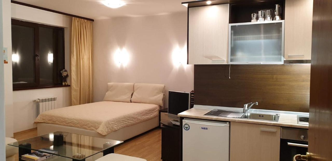 Charming Winter Studio بوروفتس المظهر الخارجي الصورة