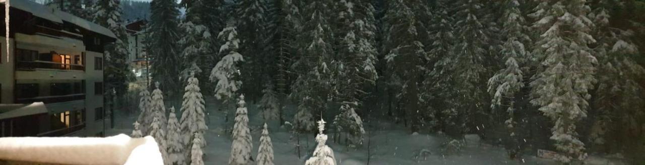 Charming Winter Studio بوروفتس المظهر الخارجي الصورة